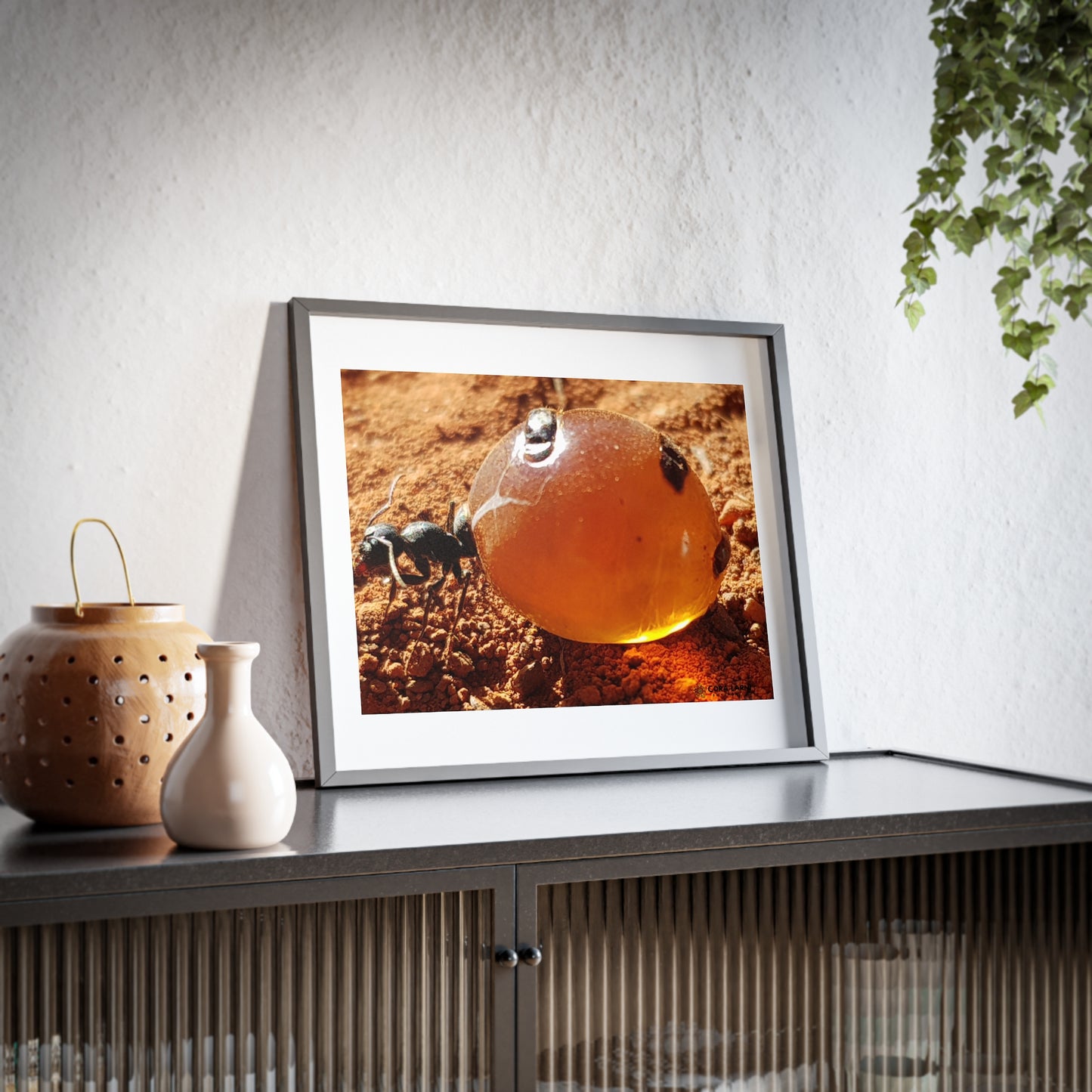 Yunggurrji (Honey Ant) Print, Wall Decor.