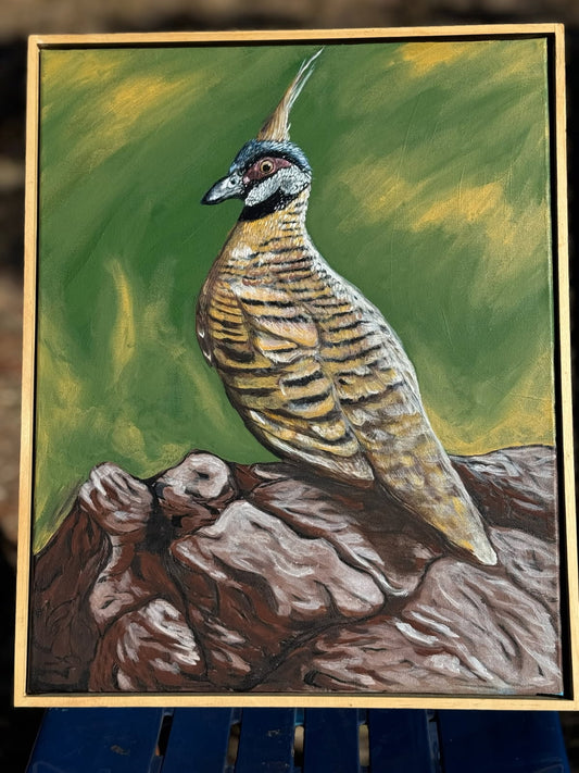 Gagarlurlu – Crested Pigeon (Original Artwork by Winston Stokes Jnr)