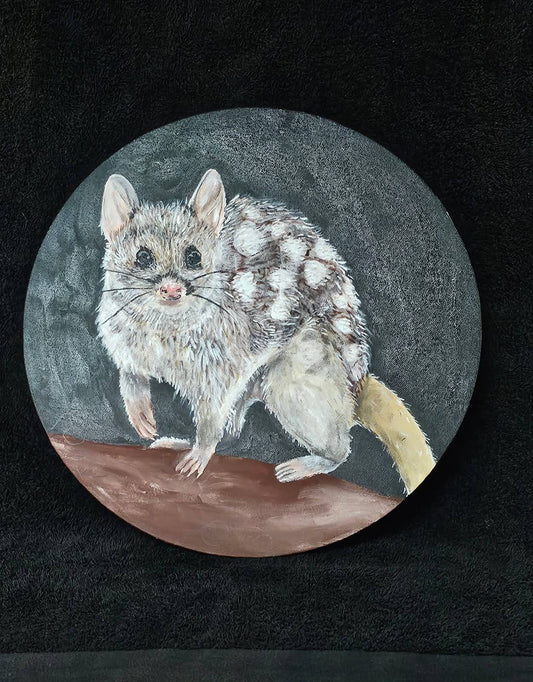 Northern Quoll (Original Artwork by Winston Stokes Jnr)