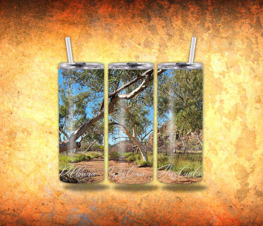 Pilbara River